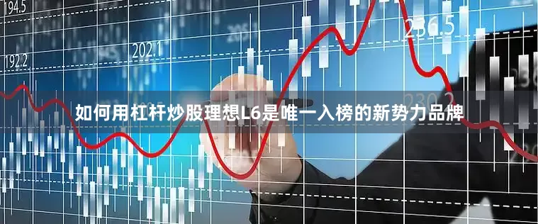 如何用杠杆炒股理想L6是唯一入榜的新势力品牌