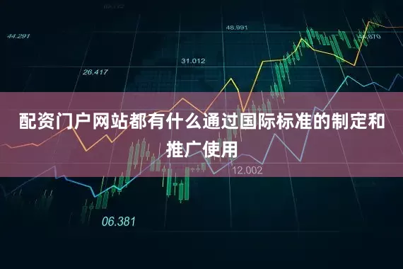 配资门户网站都有什么通过国际标准的制定和推广使用